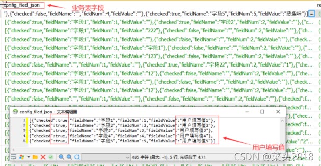 java解決動(dòng)態(tài)配置字段需求問題介紹
